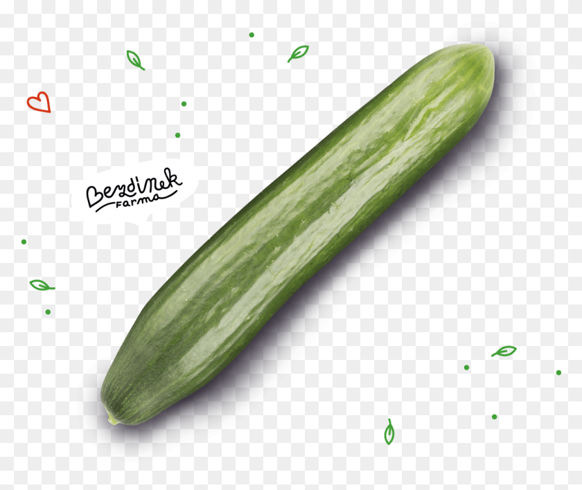1070x890 Average Lenght Cucumber, Plant, Vegetable, Food HD PNG Download