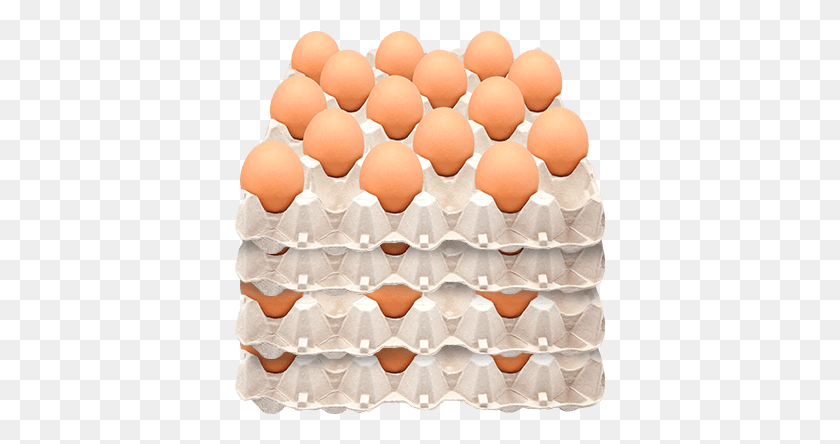 371x384 Descargar Png / Avinal Huevo Rojo Jumbo Canasta Por 60 Unidades Huevos Jumbo, Egg, Food, Birthday Cake Hd Png