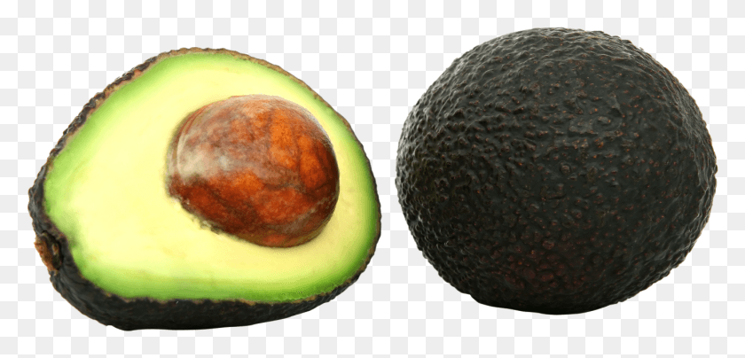 1387x613 Avocado, Plant, Fruit, Food HD PNG Download
