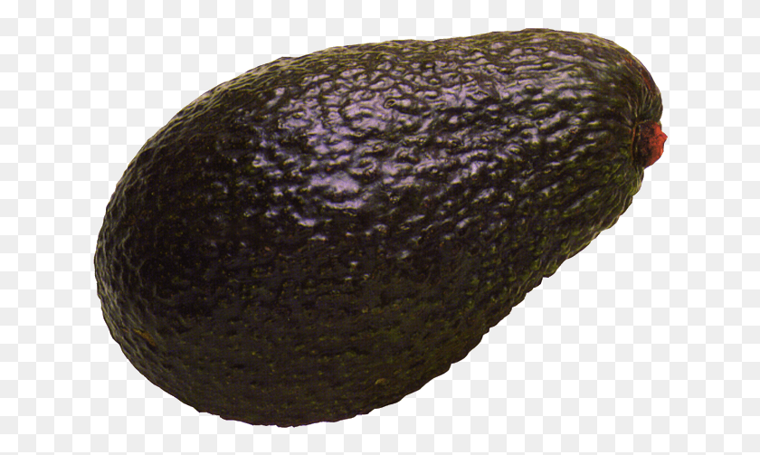 636x443 Avocado, Plant, Fruit, Food HD PNG Download