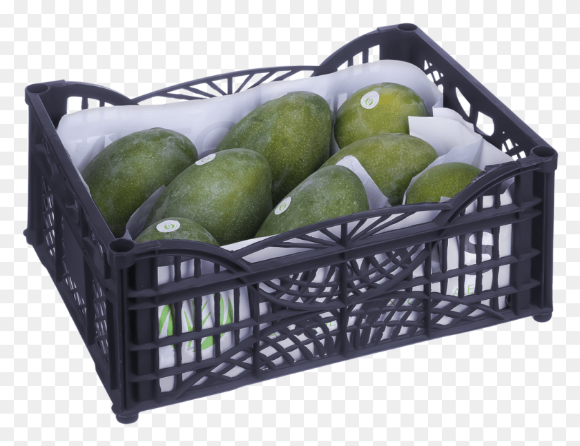 993x748 Avocado, Plant, Fruit, Food HD PNG Download
