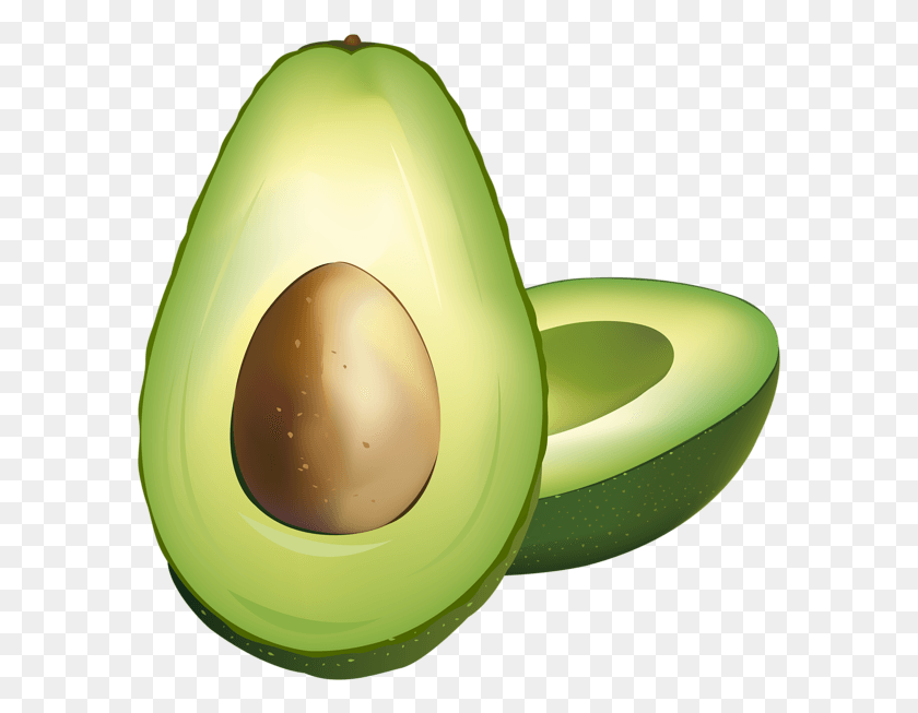 589x593 Aguacate Png / Aguacate Png