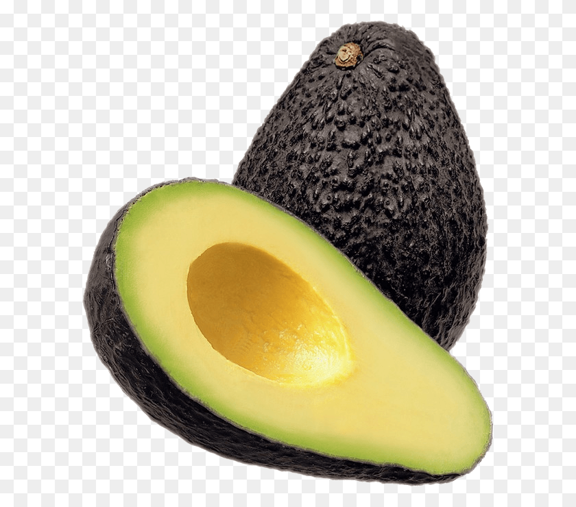 600x680 Avocado Hass Avocado, Plant, Fruit, Food HD PNG Download