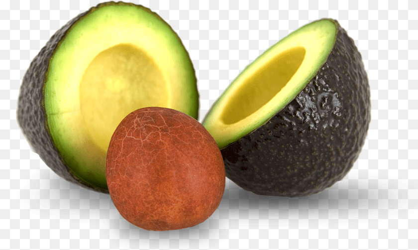 1112x665 Avocado Pit, Food, Fruit, Plant, Produce PNG