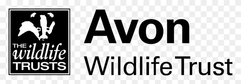 1073x323 Avon Wildlife Trust Logo, Text, Word, Label HD PNG Download