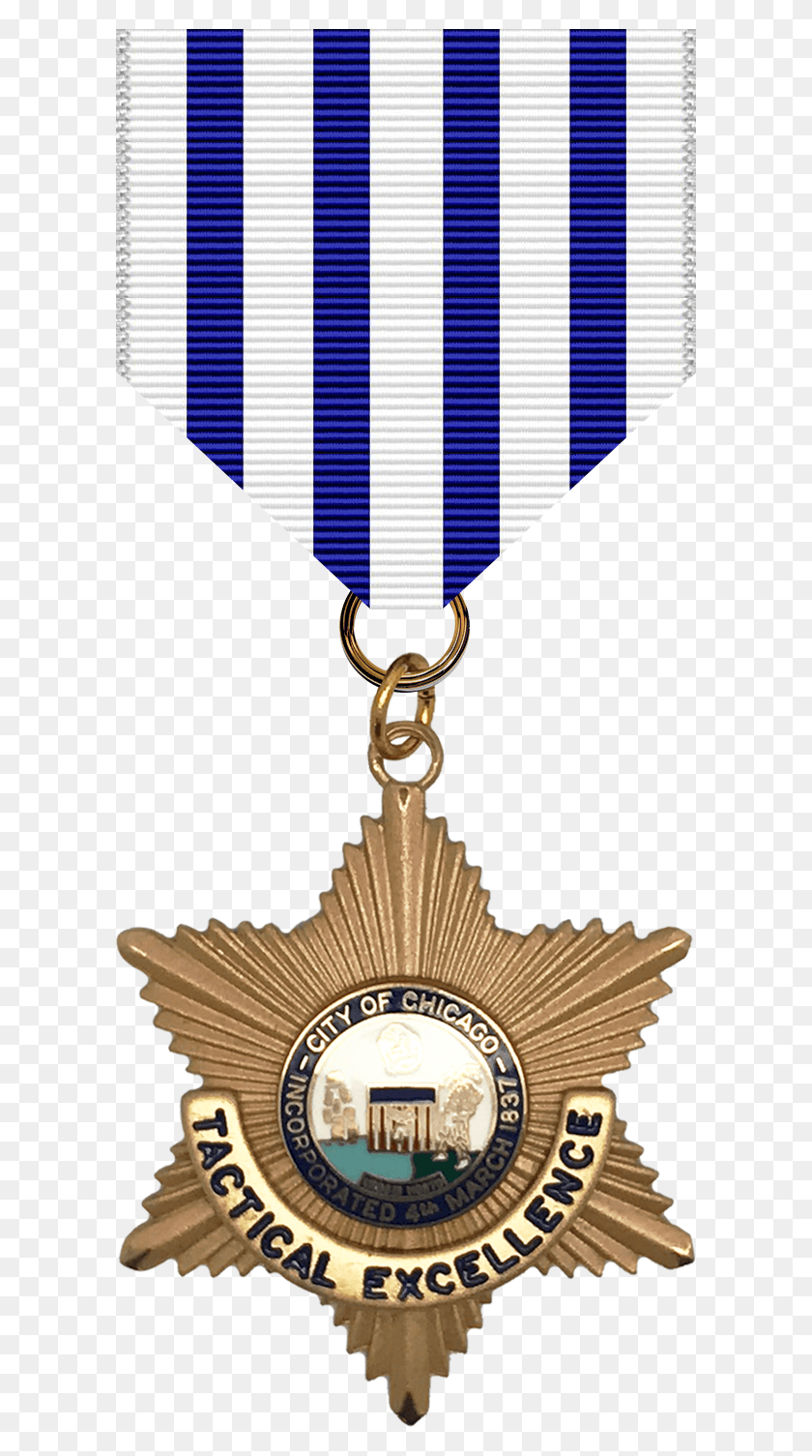 600x1445 Award Medal Gold Medal, Gold, Symbol, Logo HD PNG Download