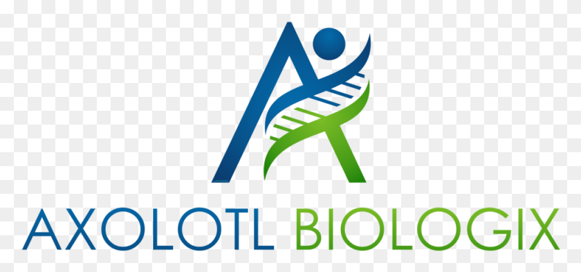 972x416 Axolotl Biologix Запускает Axobiofluid A An Ambient, Текст, Алфавит, Символ Hd Png Скачать
