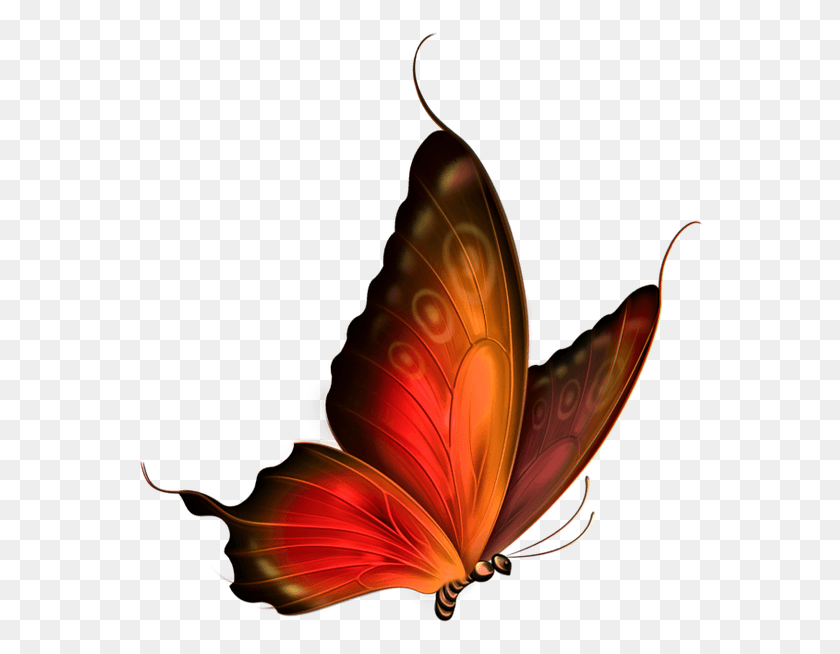 566x594 Babochka Nasekomoe Butterfly Lepidoptera, Ornament, Pattern, Fractal HD PNG Download