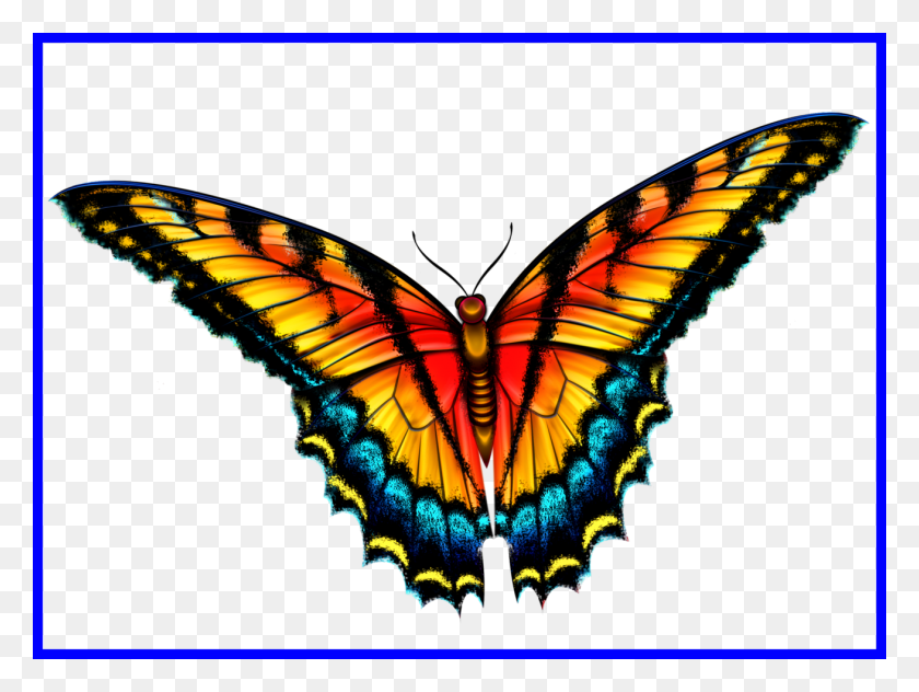 1310x962 Babochki Animaciya, Monarch, Butterfly, Insect HD PNG Download