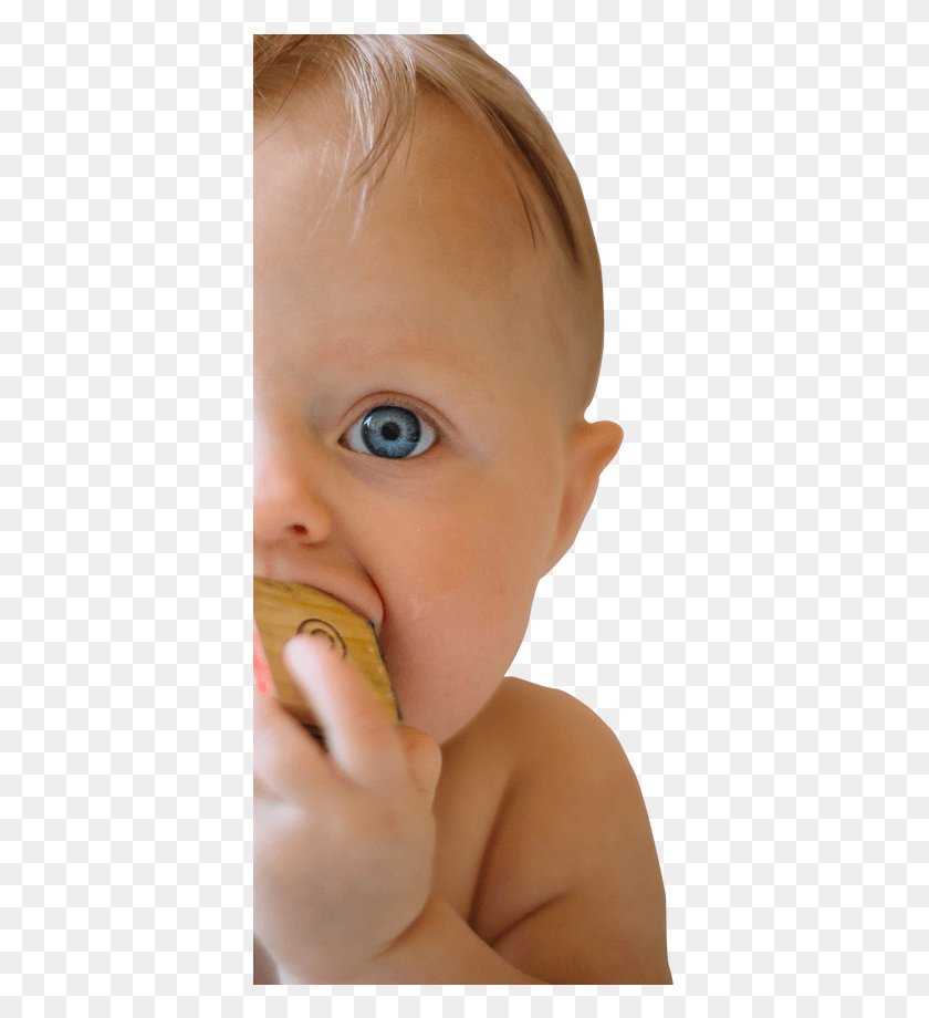 383x860 Baby, Person, Human, Finger HD PNG Download