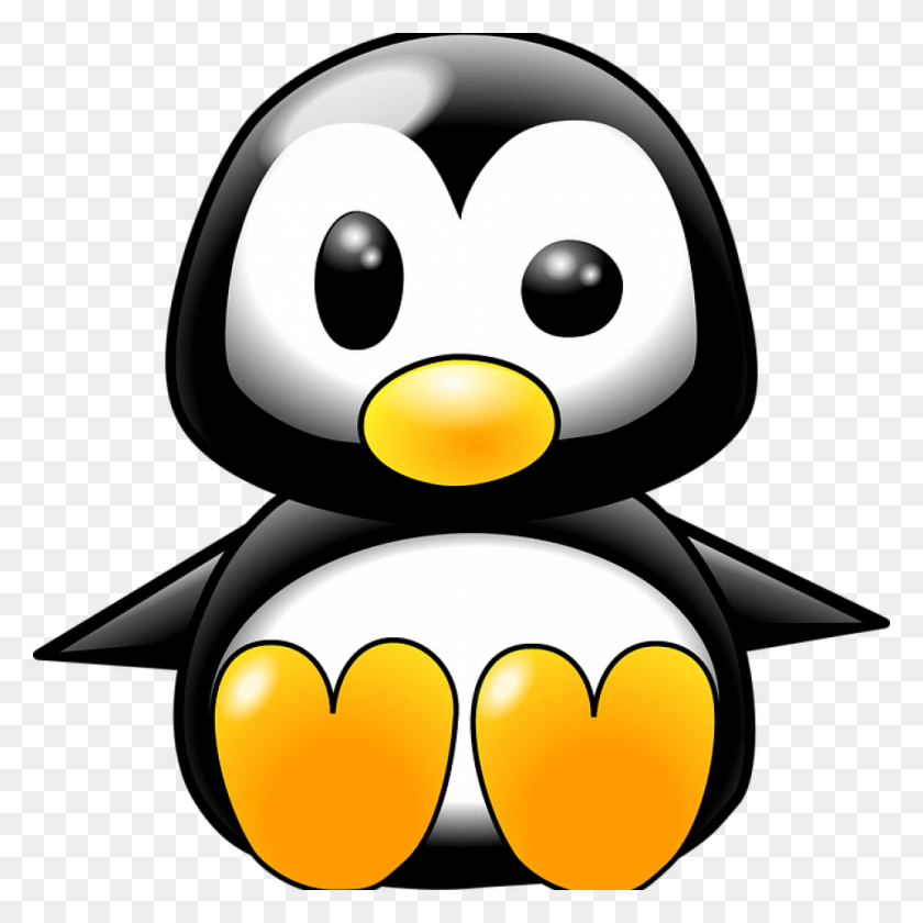 960x960 Baby Animal Clip Art Cute Animal Clipart, Bird, Penguin HD PNG Download