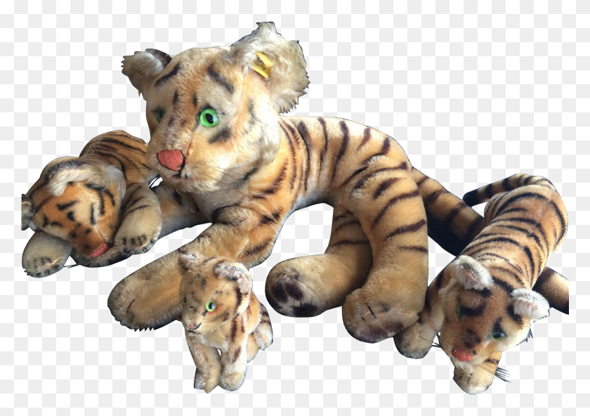 2049x1400 Лапа Больших Кошек, Тигр, Живая Природа, Млекопитающие Hd Png Скачать