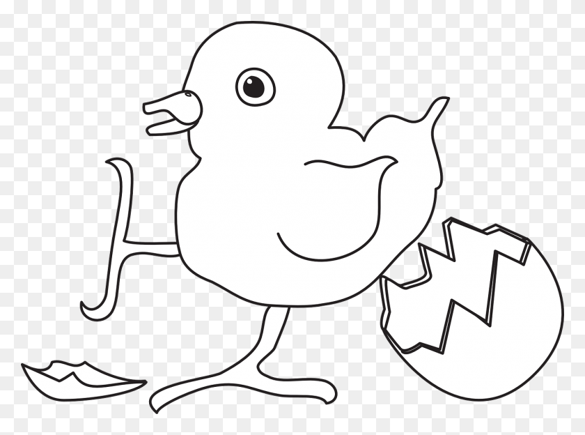 1280x926 Птица Вылупившееся Яйцо Иллюстрация Новорожденных Молодых Цыплят, Животное, Домашняя Птица, Домашняя Птица Png Скачать