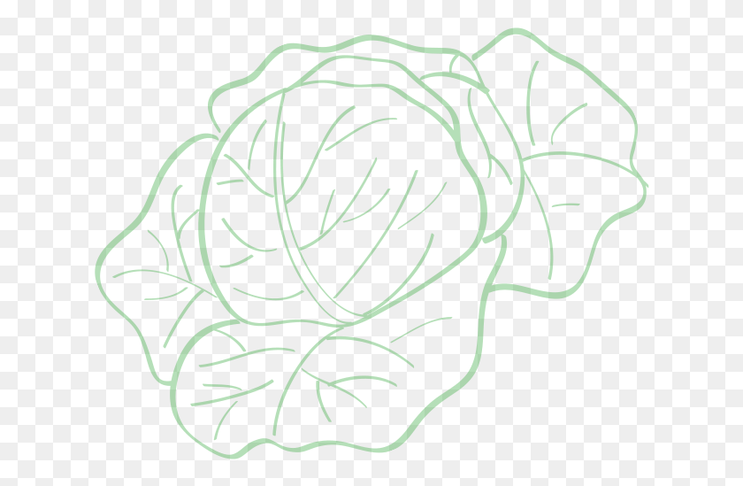 628x489 Baby Bok Choy Line Art, Plant, Pattern, Graphics HD PNG Download