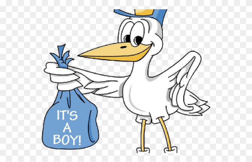 571x481 Baby Boy Cartoon Images Stork Its A Boy, Animal, Bird, Beak HD PNG Download