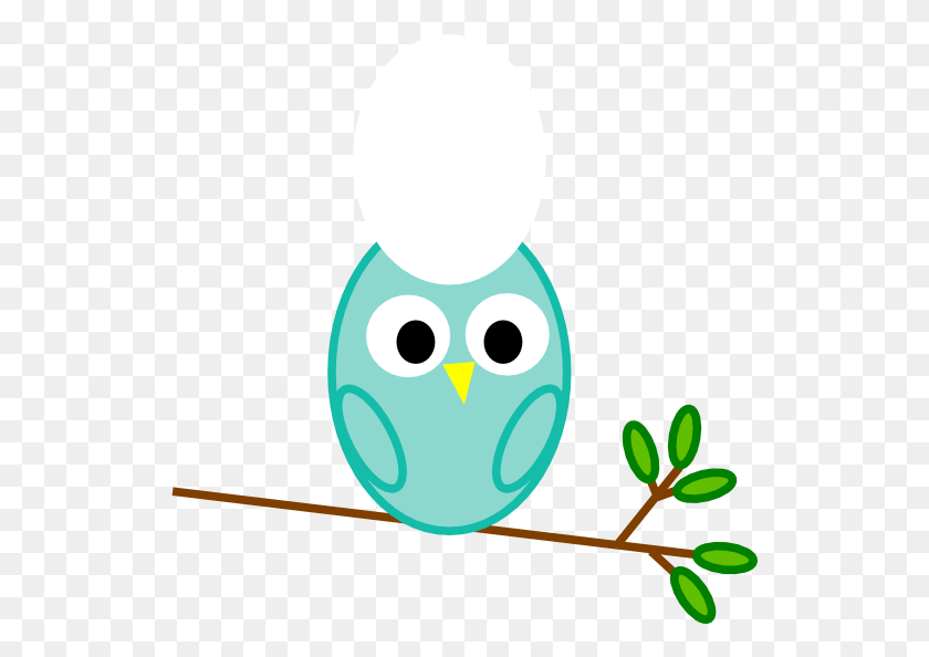 531x534 Baby Boy Owl, Food, Egg, Graphics HD PNG Download