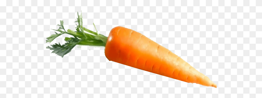 551x254 Морковь, Растение, Овощи, Еда Hd Png Скачать