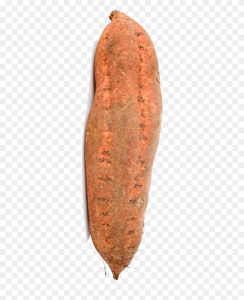 280x975 Baby Carrot, Bread, Food, Pottery HD PNG Download