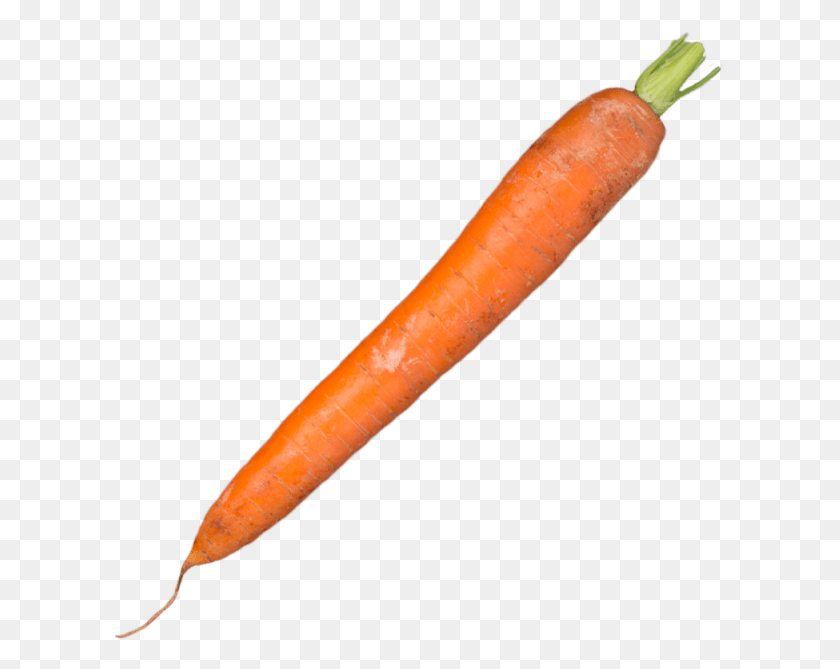 613x609 Baby Carrots Caran D Ache 888 Pencil, Carrot, Vegetable, Plant HD PNG Download