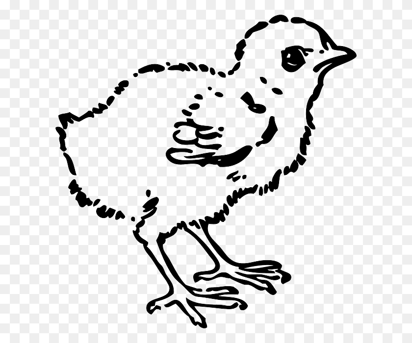614x640 Baby Chick Clip Art Chick Clip Art Black And White, Bird, Animal, Stencil HD PNG Download