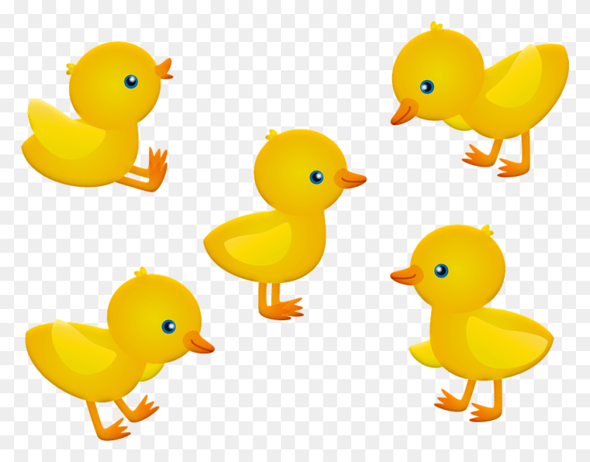 939x720 Baby Chick Pintinhos, Animal, Bird, Poultry HD PNG Download