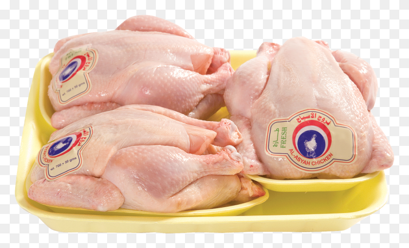 1414x816 Baby Chicken Fresh, Animal, Bird, Fowl HD PNG Download