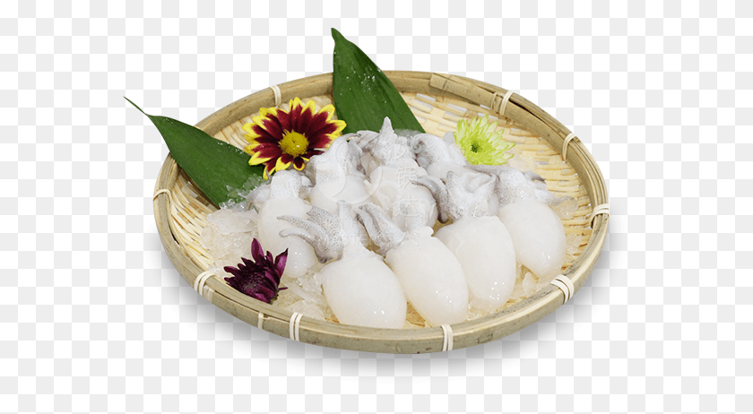 567x402 Baby Cuttlefish Dish, Meal, Food, Plant HD PNG Download