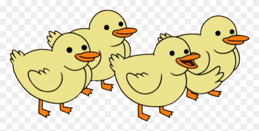 1901x891 Baby Ducks Baby Ducks From Regular Show, Poultry, Fowl, Bird HD PNG Download