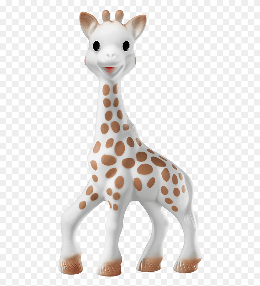 464x862 Детский Жираф, Животное, Млекопитающее, Домашнее Животное Hd Png Скачать