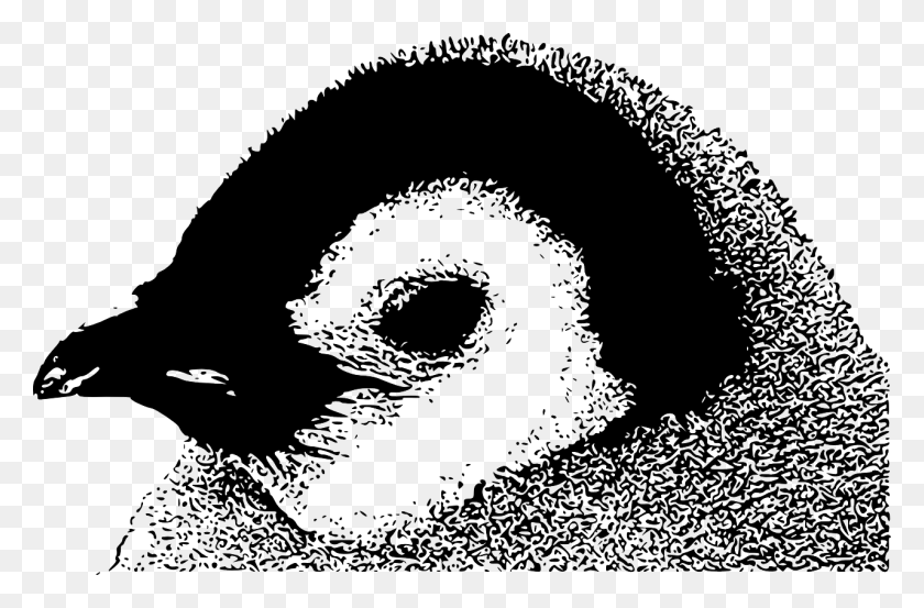 1280x810 Baby Head Emperor Penguin Black Image Emperor Penguin Chick, Animal, Bird, Stencil HD PNG Download