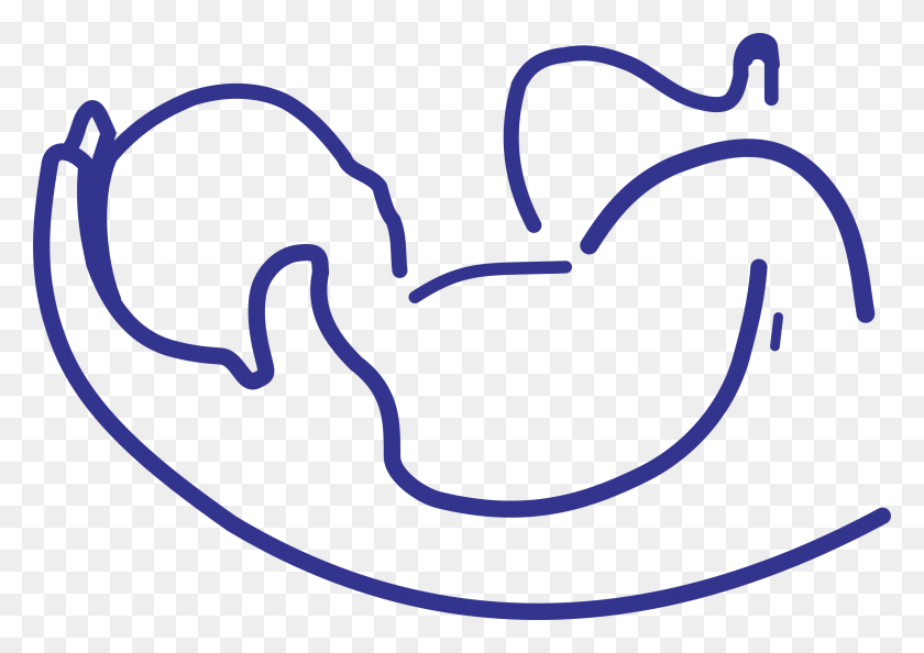 2400x1646 Логотип Ребенка Прозрачный Логотип Ребенка Изображения, Сердце, Этикетка, Текст Hd Png Скачать