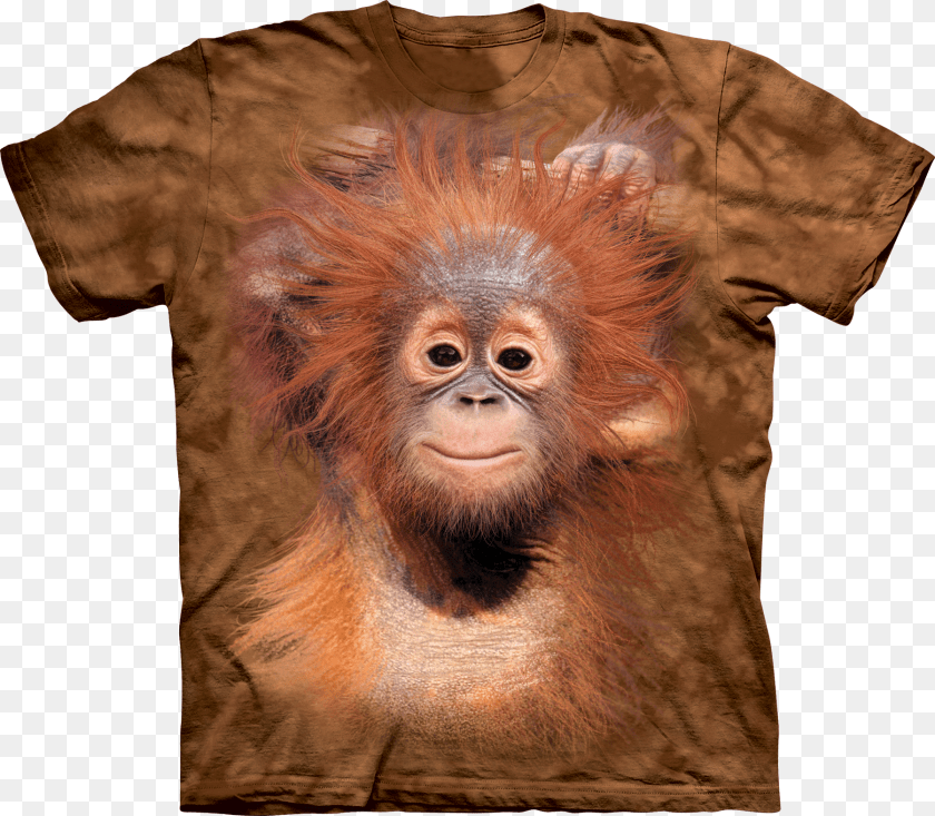 1800x1571 Baby Orangutan Animal T Shirts, Mammal, Monkey, Wildlife Clipart PNG