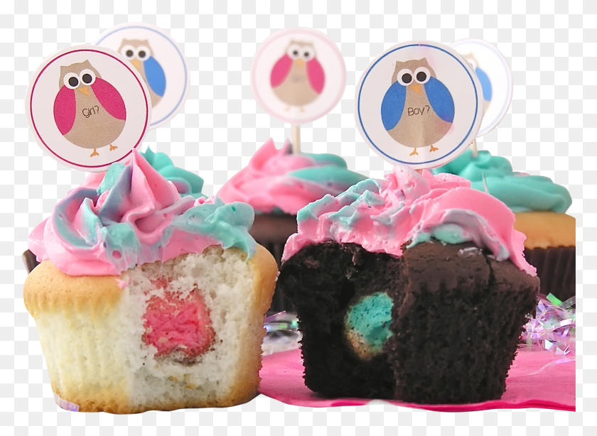 2212x1572 Baby Owl Cupcakes HD PNG Download