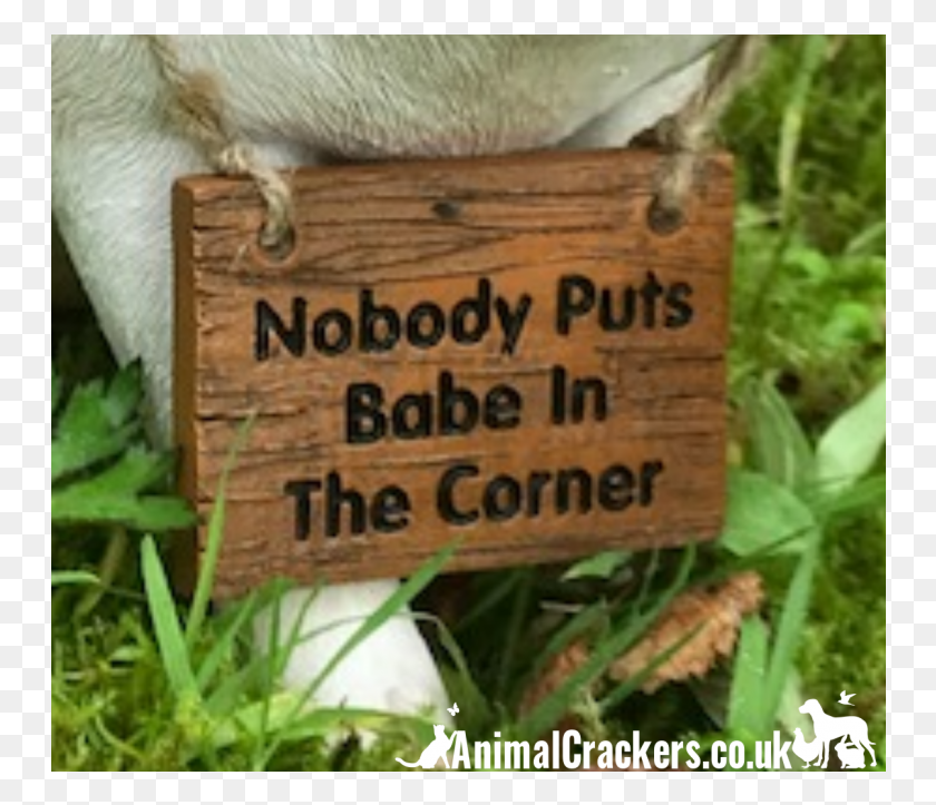 750x663 Baby Pig Ornament With 39nobody Puts Babe In The Corner39 Signage, Box, Animal, Mammal HD PNG Download