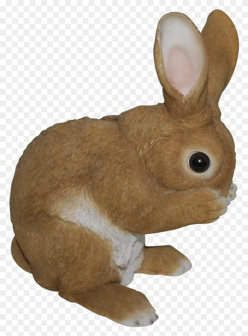 901x1242 Baby Rabbit Conigli In Ceramica X Giardino, Rodent, Mammal, Animal HD PNG Download