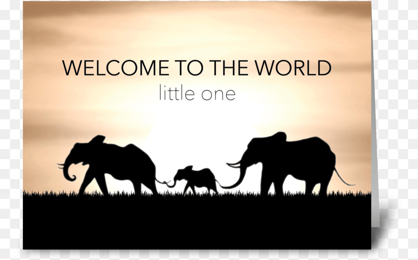 776x523 Baby Shower Elephant Card Greeting Card, Animal, Mammal, Wildlife, Silhouette Clipart PNG