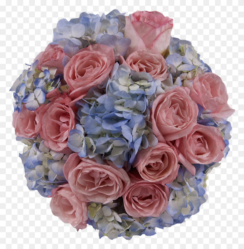 869x890 Descargar Png / Baby Shower Rosas De Jardín, Diseño Floral, Patrón, Gráficos Hd Png