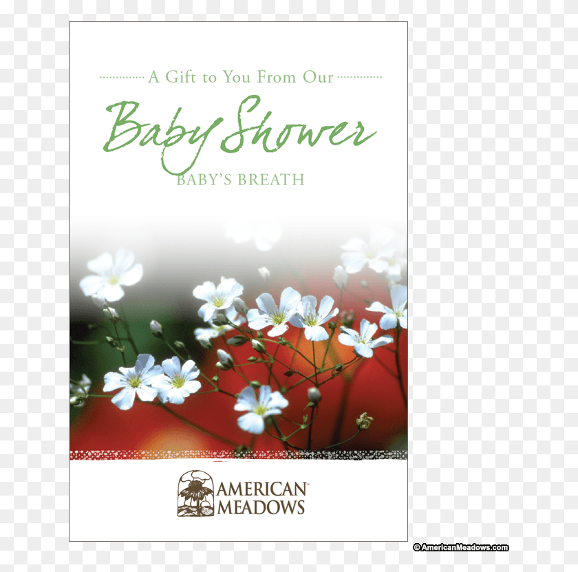 641x771 Baby Shower Seed Packet Christmas Card, Advertisement, Flyer, Poster HD PNG Download