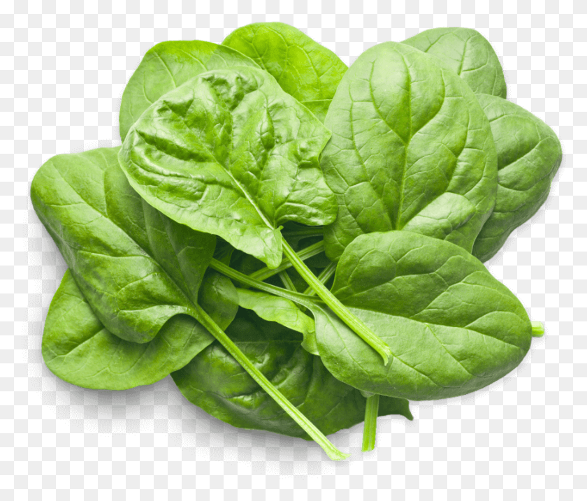 868x732 Baby Spinach In Kenya, Vegetable, Plant, Food HD PNG Download