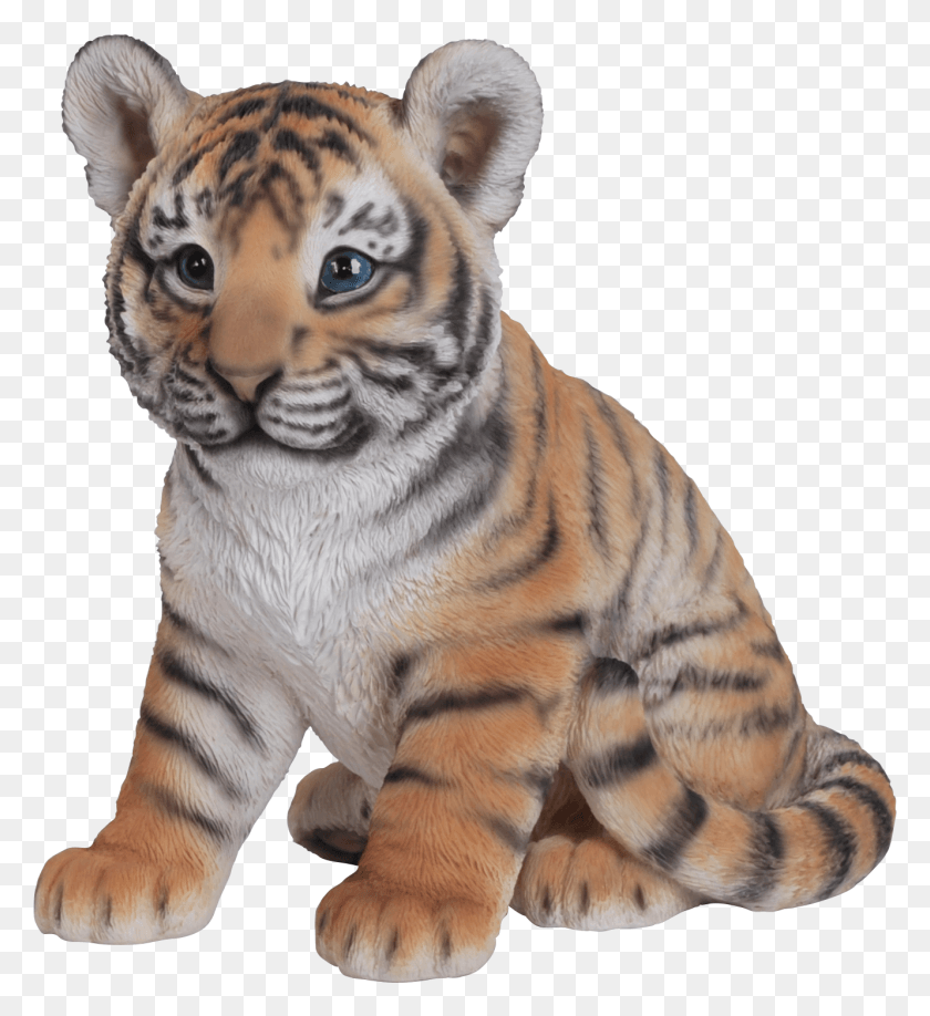 1330x1464 Baby Tiger Baby Tiger Sitting, Wildlife, Mammal, Animal HD PNG Download
