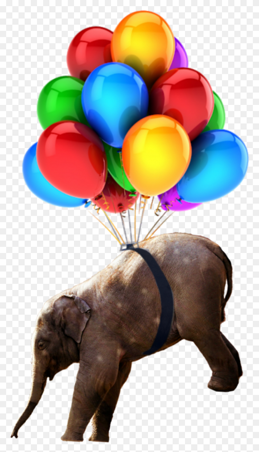 883x1591 Babyelephant Nobackground Elephant Balloons Transparent Background Balloons, Balloon, Ball, Wildlife HD PNG Download