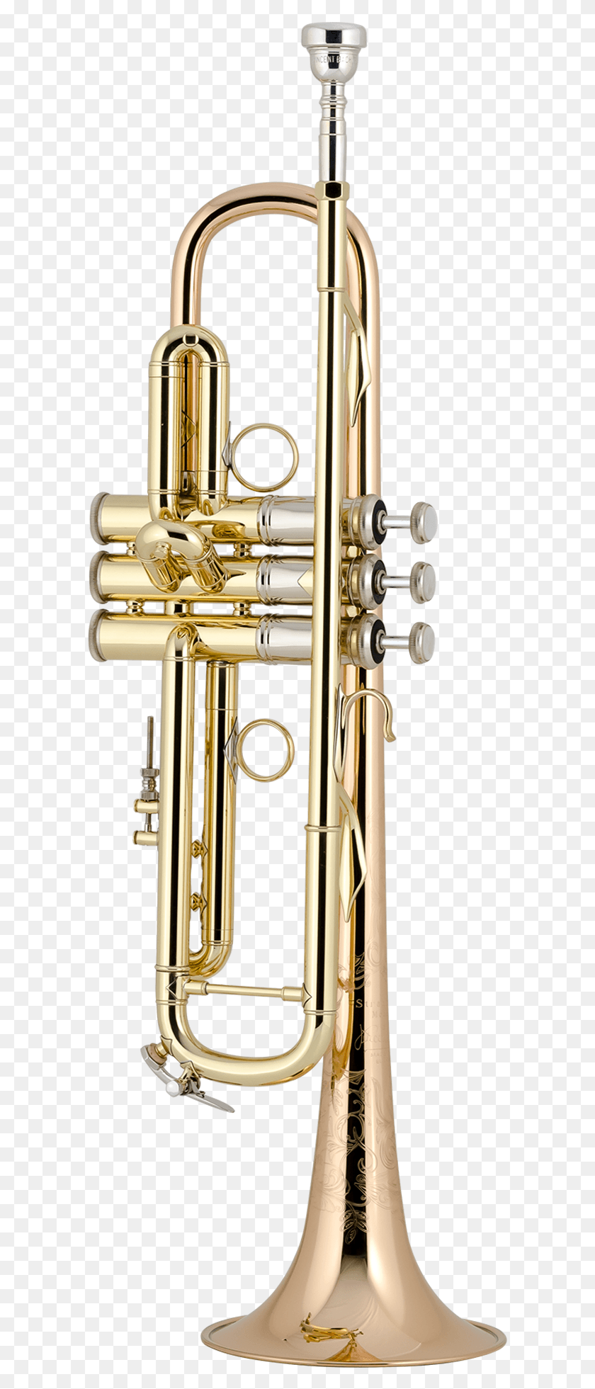 593x1901 Bach Professional Model Lr19043b Bb Trumpet Ab190s Bach, Horn, Brass Section, Musical Instrument HD PNG Download