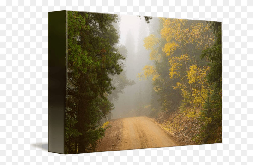 650x489 Back Country Dirt Road In The High Elevation Of The Dirt Road, Weather, Nature, Outdoors Descargar Hd Png