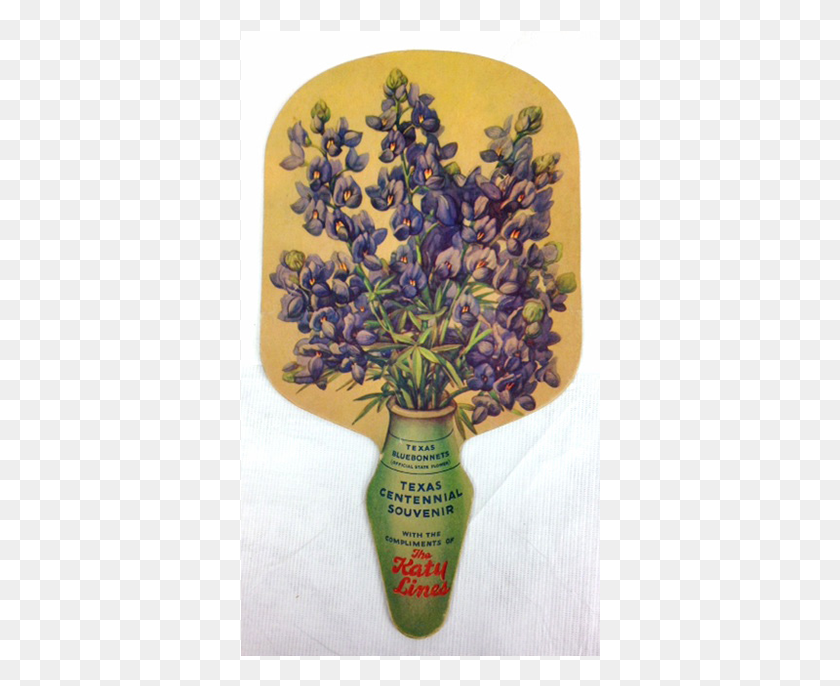 360x626 Back Grape Hyacinth, Plant, Pineapple, Fruit HD PNG Download