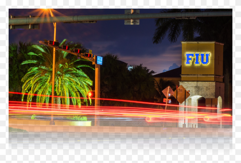 1024x667 Background Attalea Speciosa, Light, Palm Tree, Tree HD PNG Download