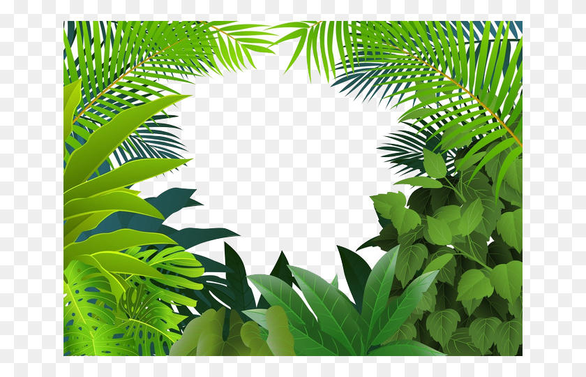 658x480 Все На Прозрачном Фоне Тропический Лес Клипарт, Растительность, Растение, Земля Png Скачать