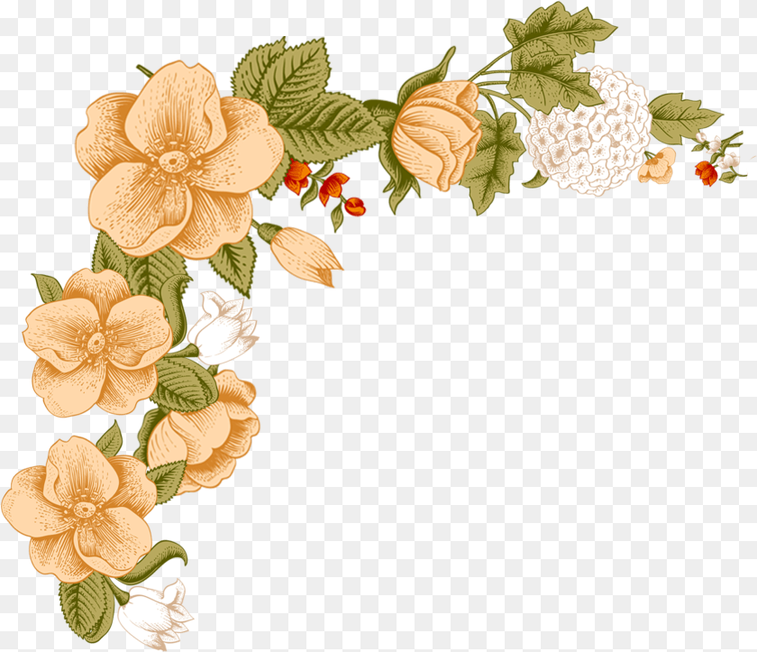 1682x1447 Background Flower Border Design, Art, Floral Design, Graphics, Pattern Transparent PNG