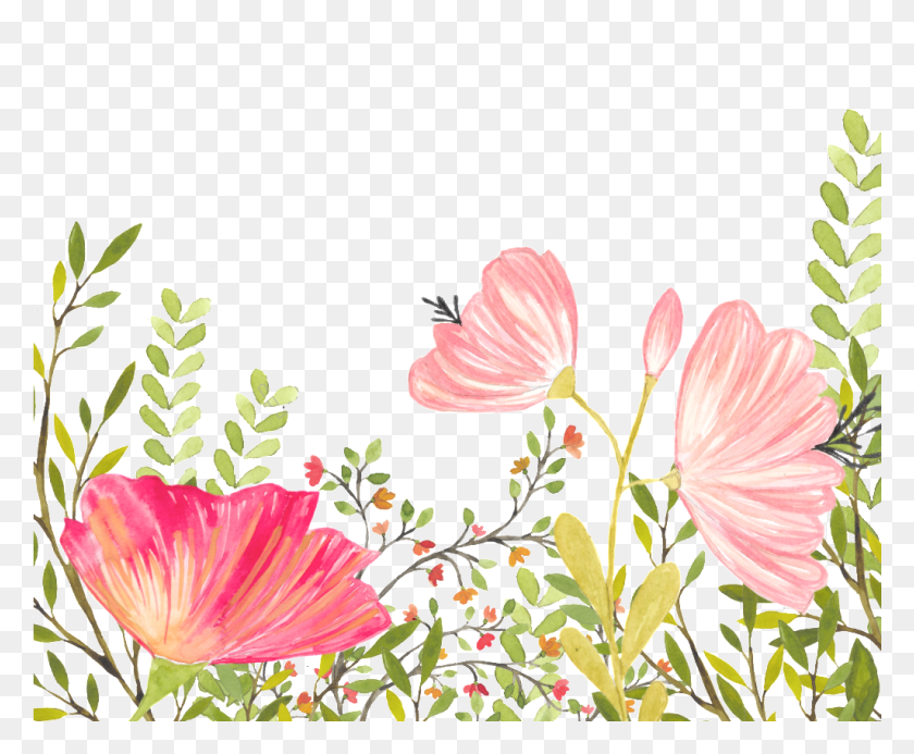 1025x832 Background Free Vector Fl Backgrounds Happy Kid Essential Oil Blend, Plant, Hibiscus, Flower HD PNG Download