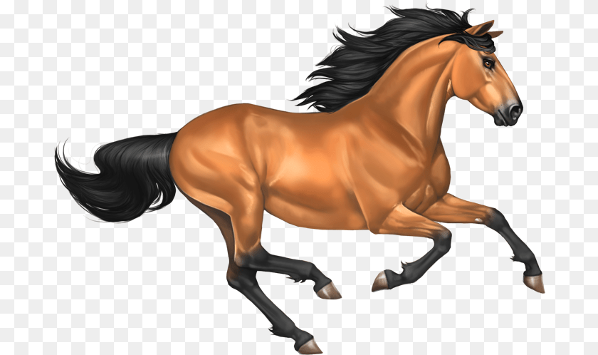 694x498 Background Horse Clipart, Animal, Mammal, Stallion, Colt Horse PNG