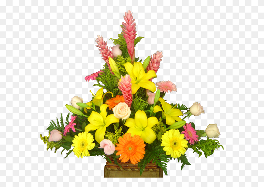 587x535 Background Images Baskets Mugs, Plant, Flower, Blossom HD PNG Download